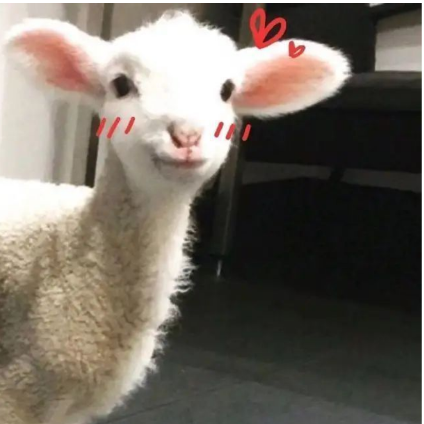 弥路lu