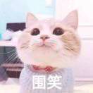 WLAN