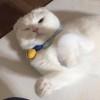 IG牛逼