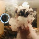 A💨天霸 动霸 tua～🙀