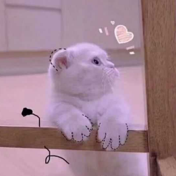 冰糖