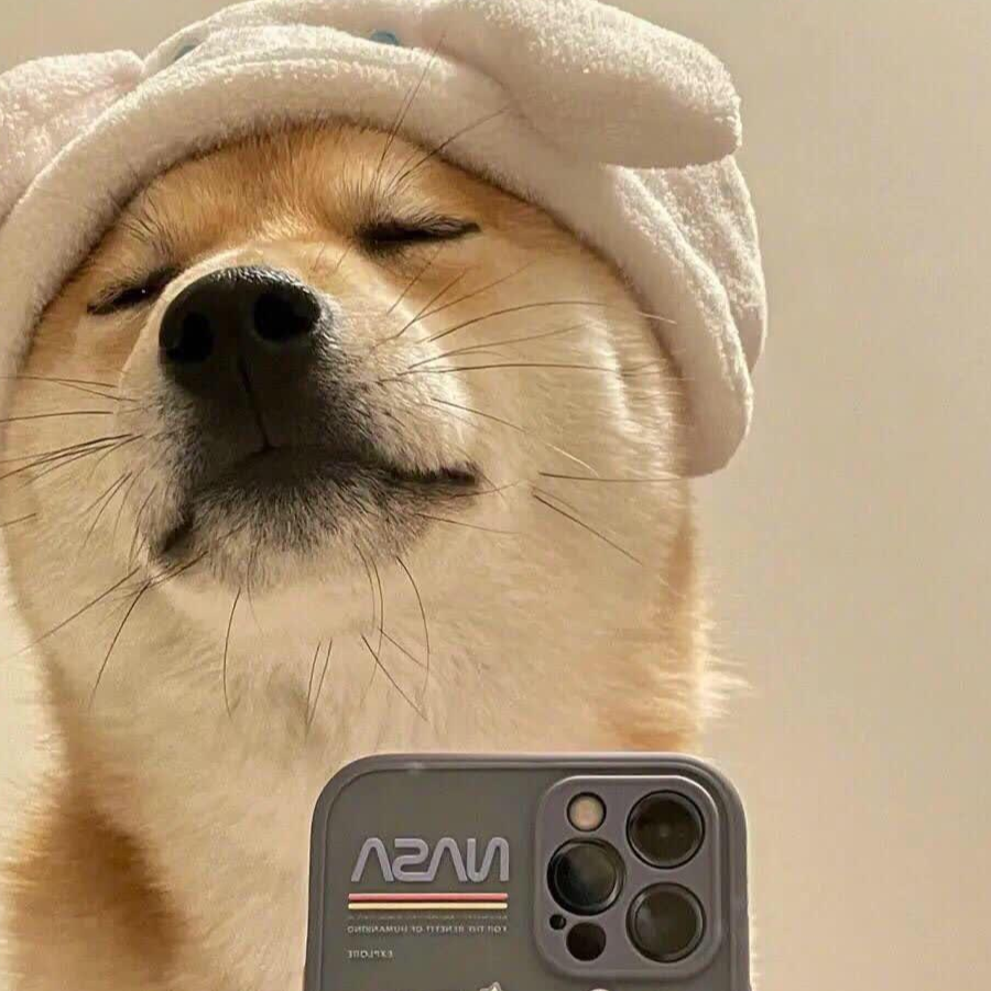 伟哥哥