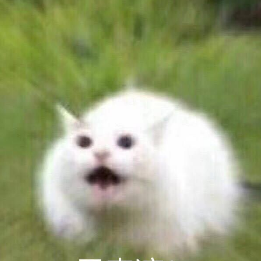 les匿