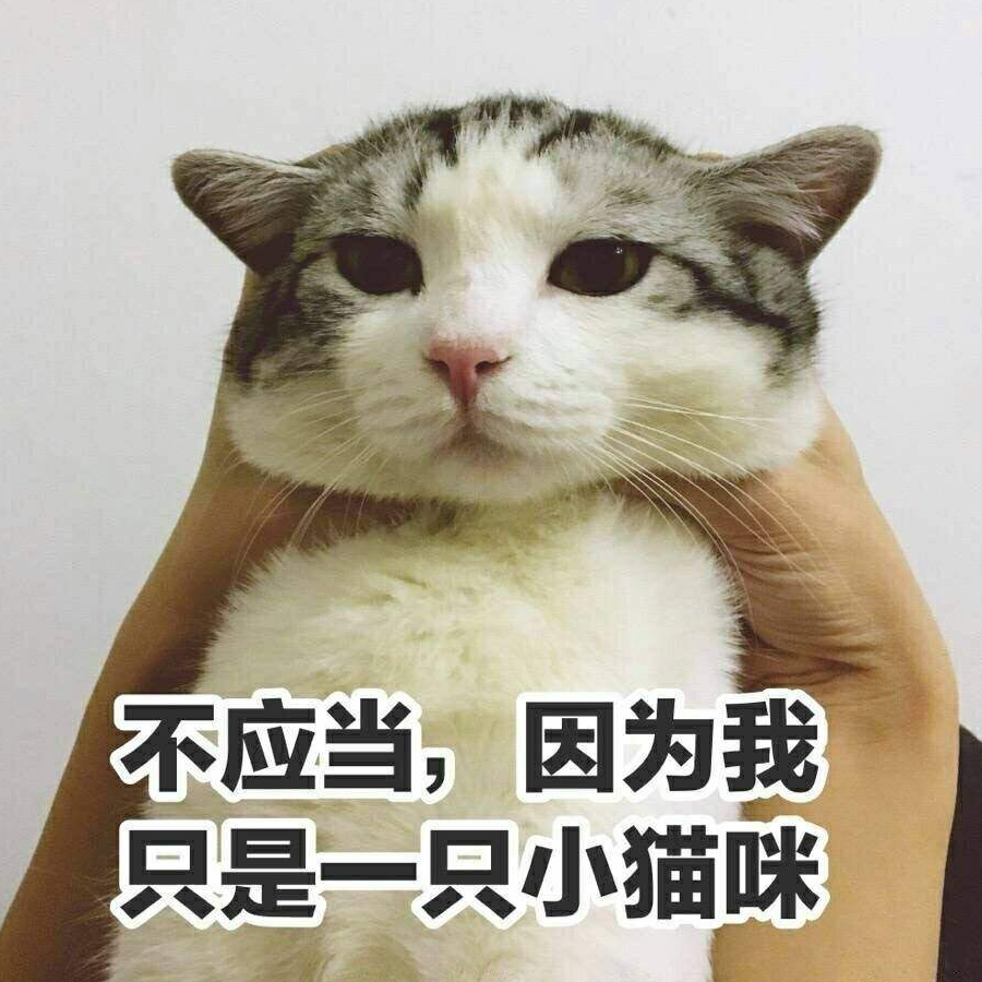 啾啾的妈