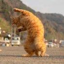 道听途说里