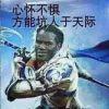 浅殇莫忆