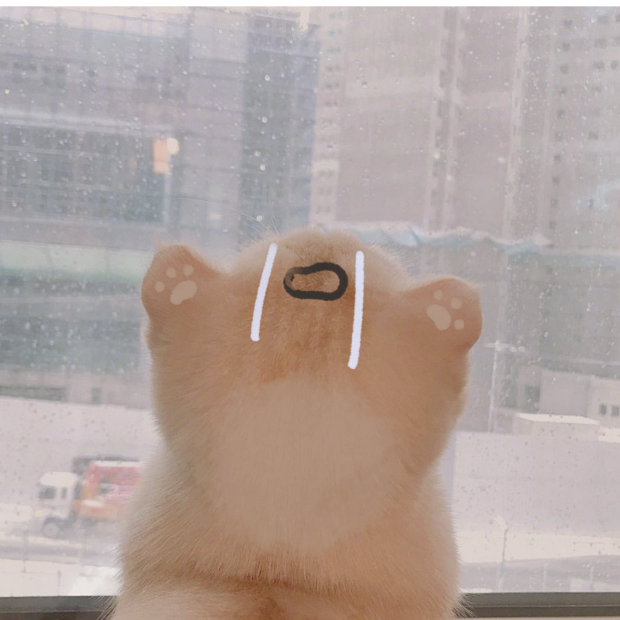罐装