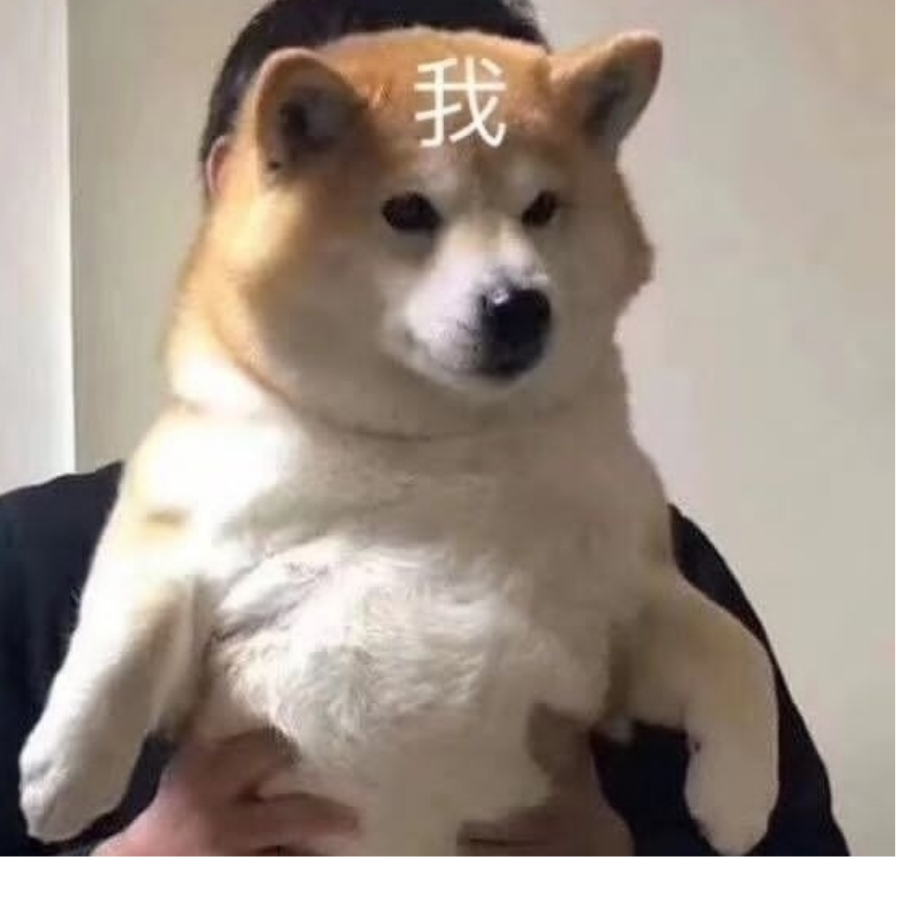 ZDLMMYHF