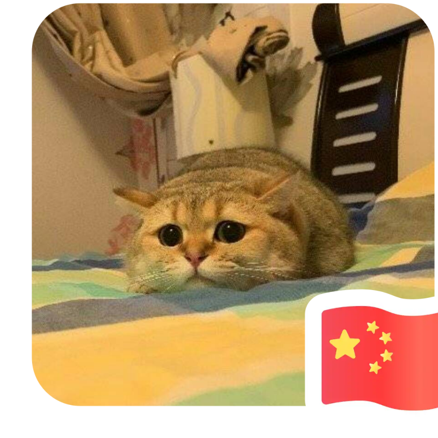 安安今天学习mua