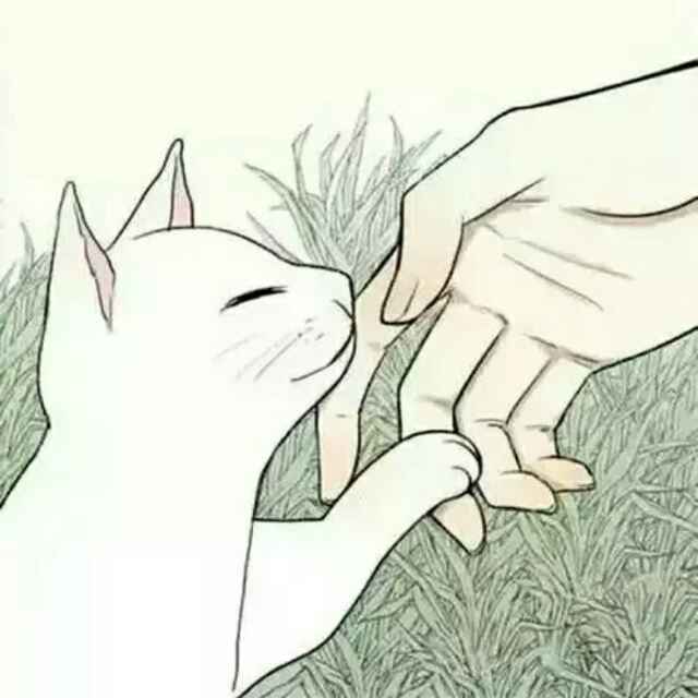 随遇而安