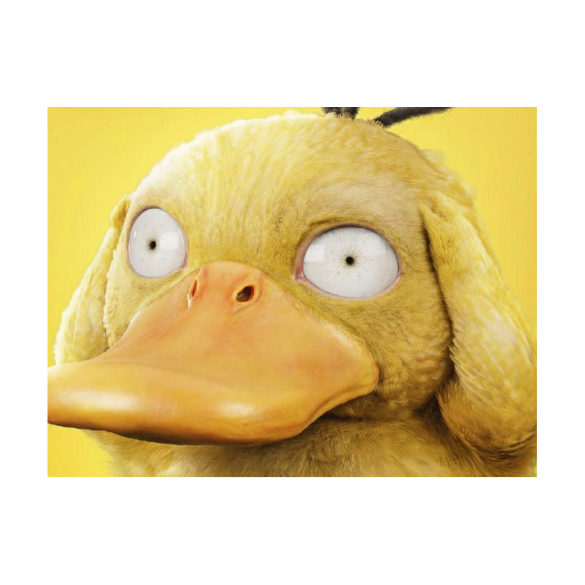 正经同学肇事鱼🐠