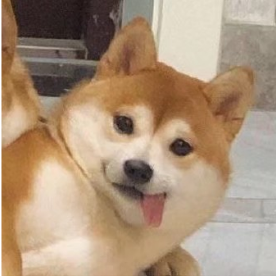江上清风游