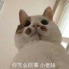 内在才华