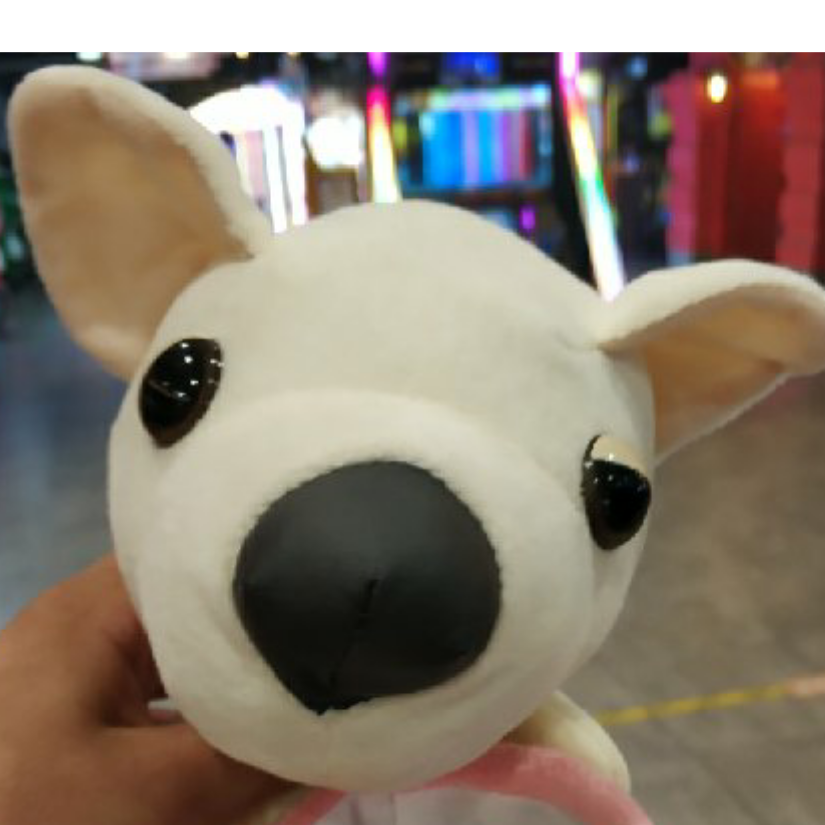 易丶