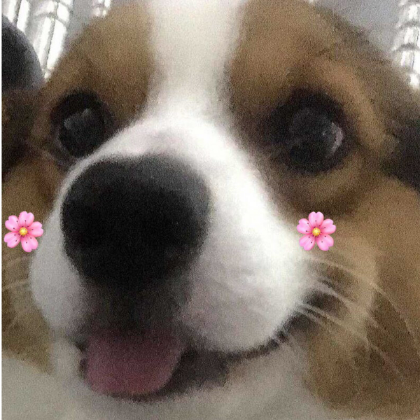 )