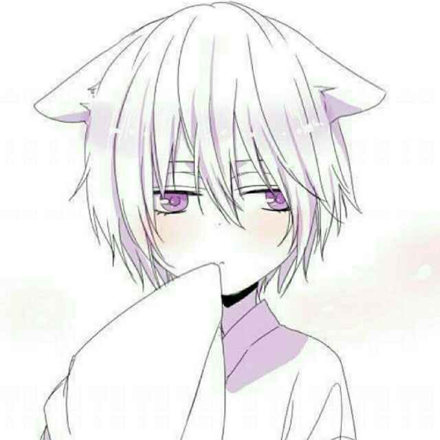 さいきんい
