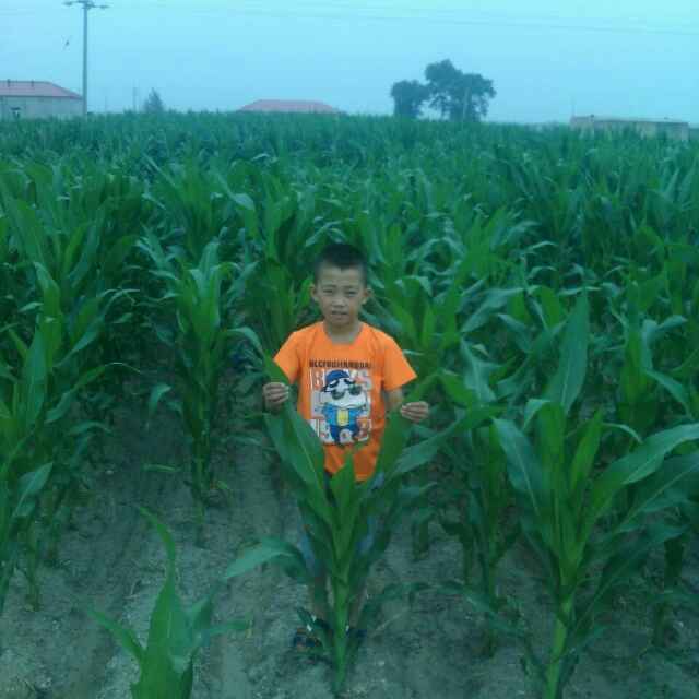 快乐一家