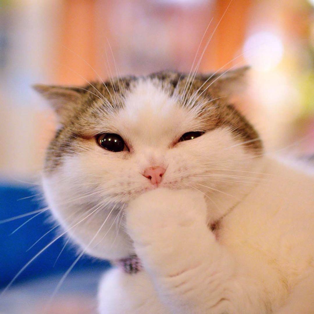 Arthur蔡润权