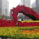 抽着湮想倪伤了肺