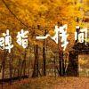 再见：十年