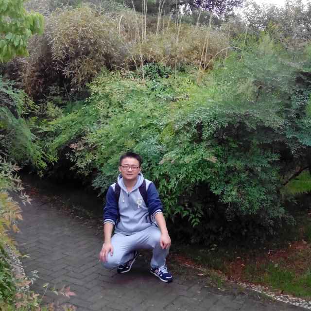 root
