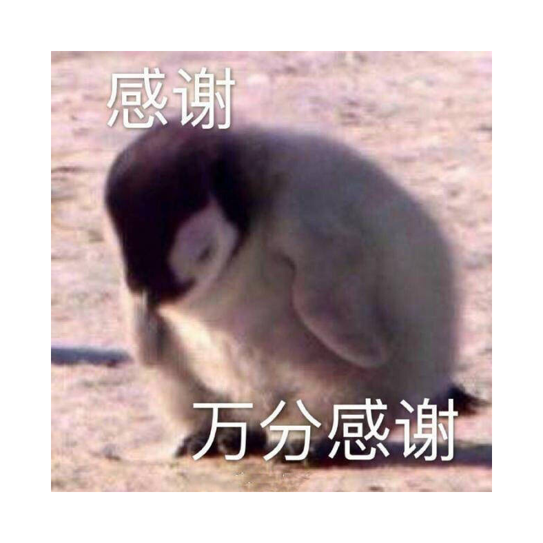 真好啊