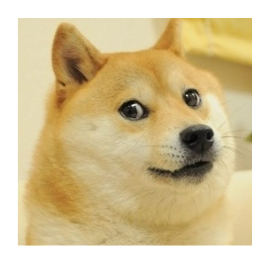 月色须君醉