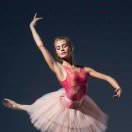 弱水三千我只取一桶饮