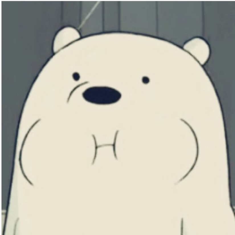 ༺bear🐻blind ༻