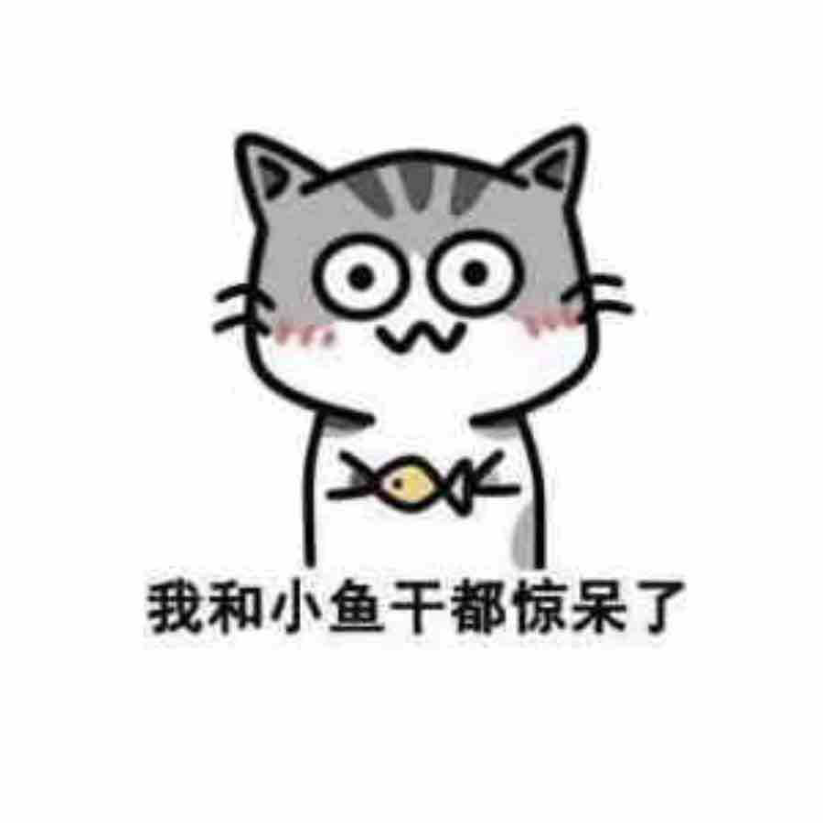 小仙女的小鱼干
