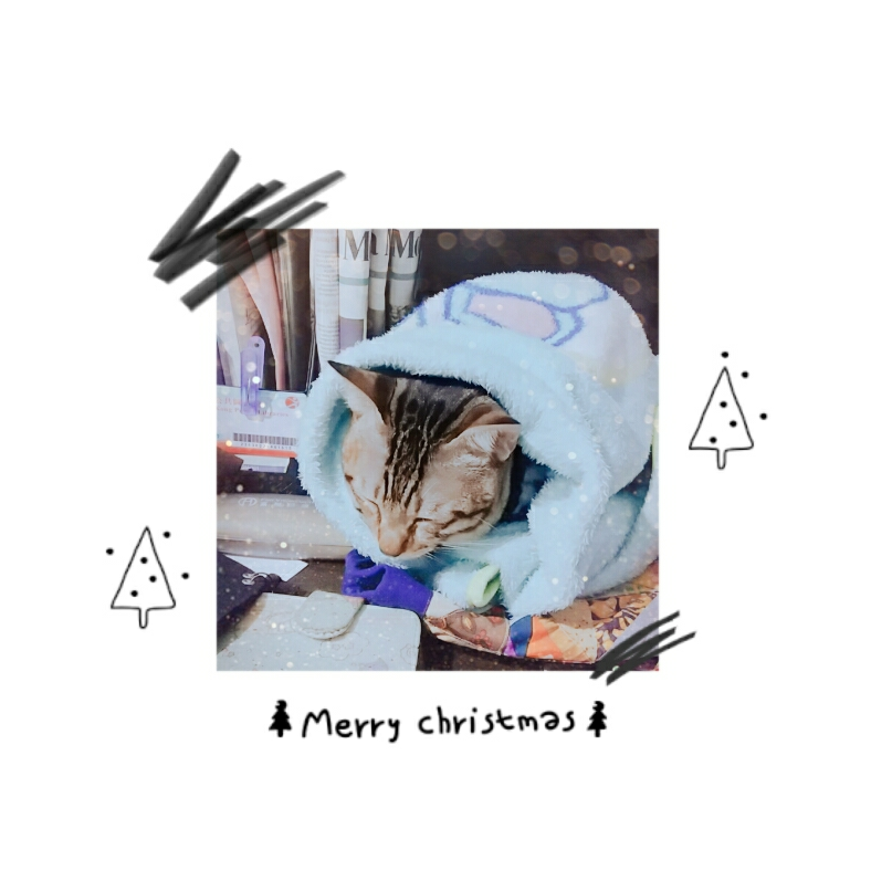 麻衣(๑•́ ₃ •̀๑)