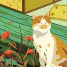 花生