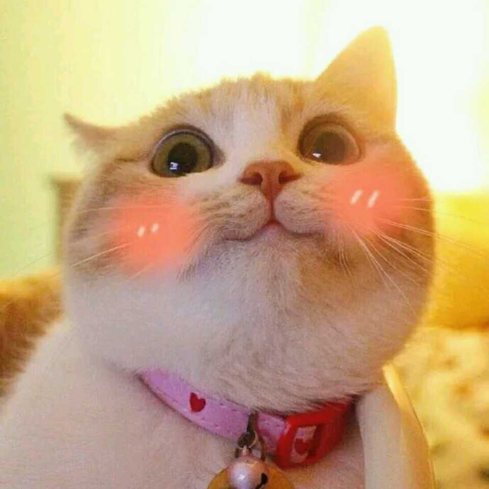 靈~