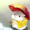 新雨