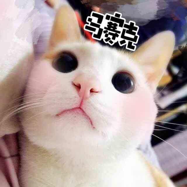 UU
