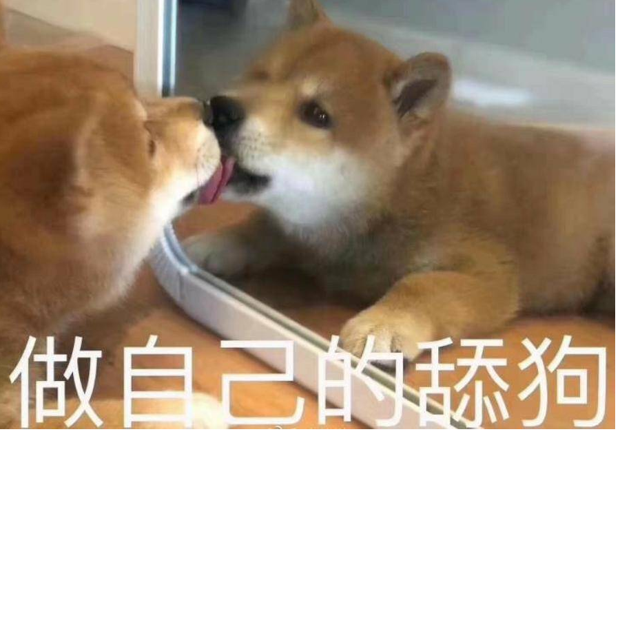埋骨地13