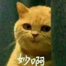 凉城笙