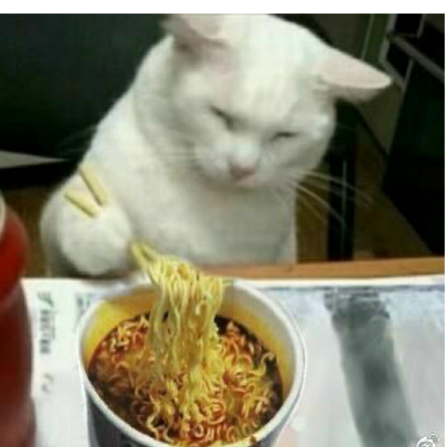 绯色月下