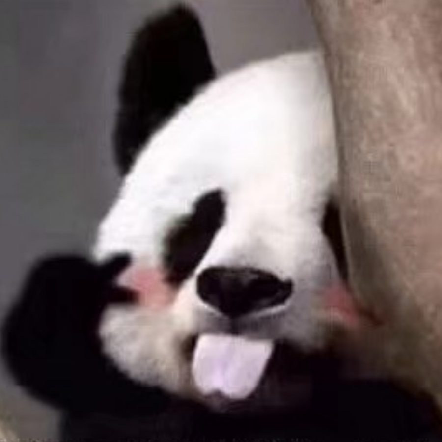 飞鱼