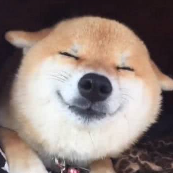HQLX那天