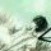 s fhl