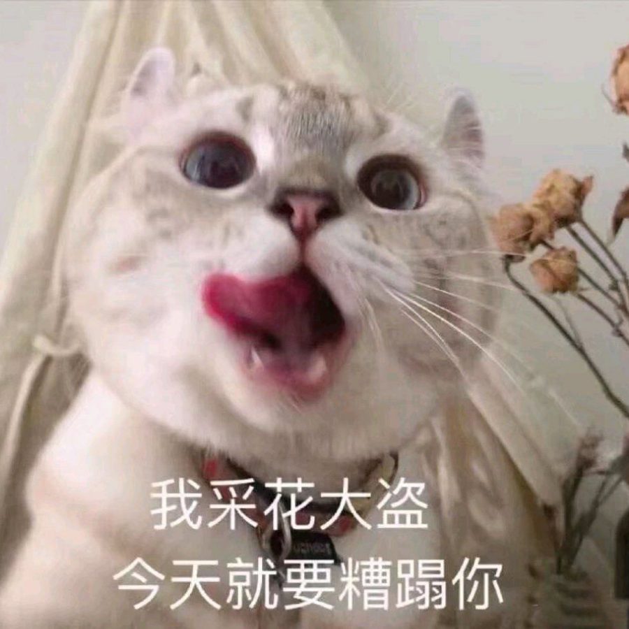 菲尼克斯