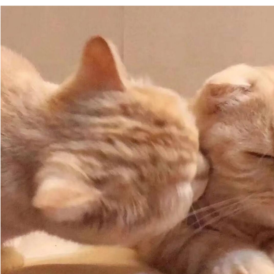相守