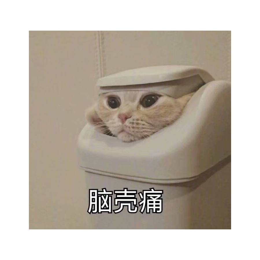 卿卿