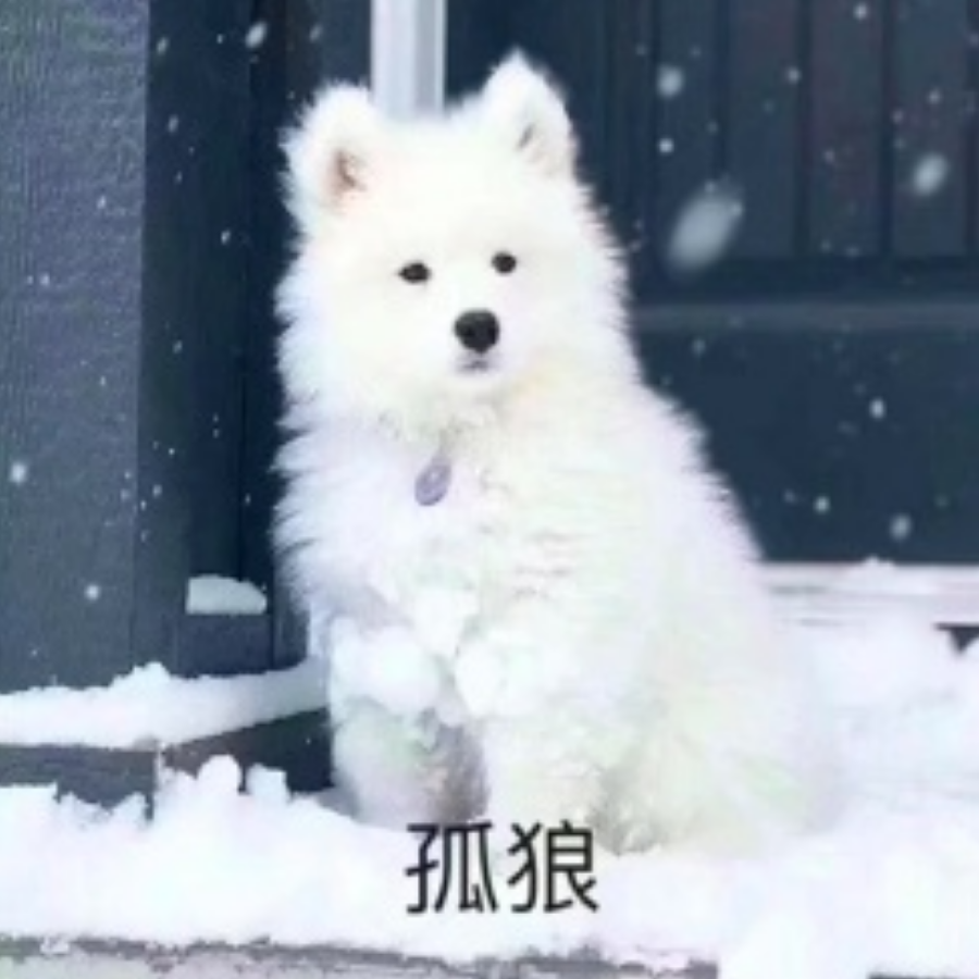 凉柚