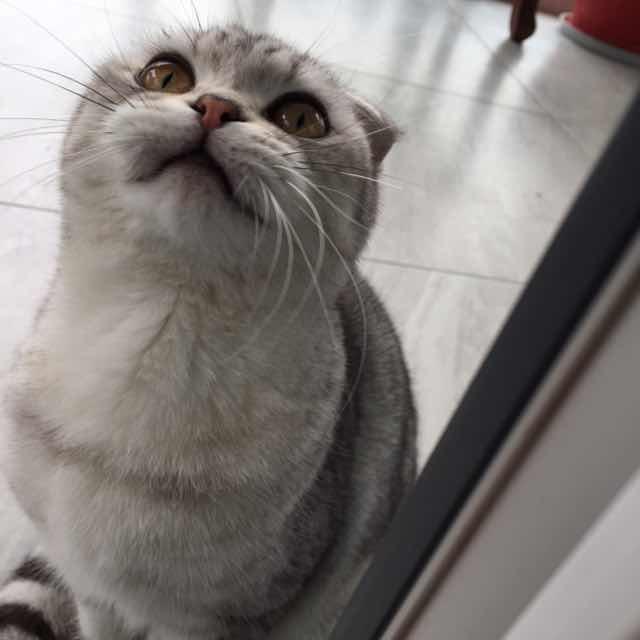 RK-Liu（●─●）