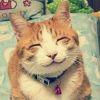 Qunaaa