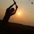 Single_D
