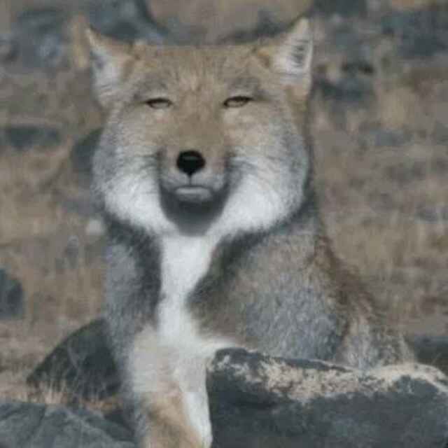 Biu～