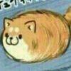 小熊熊